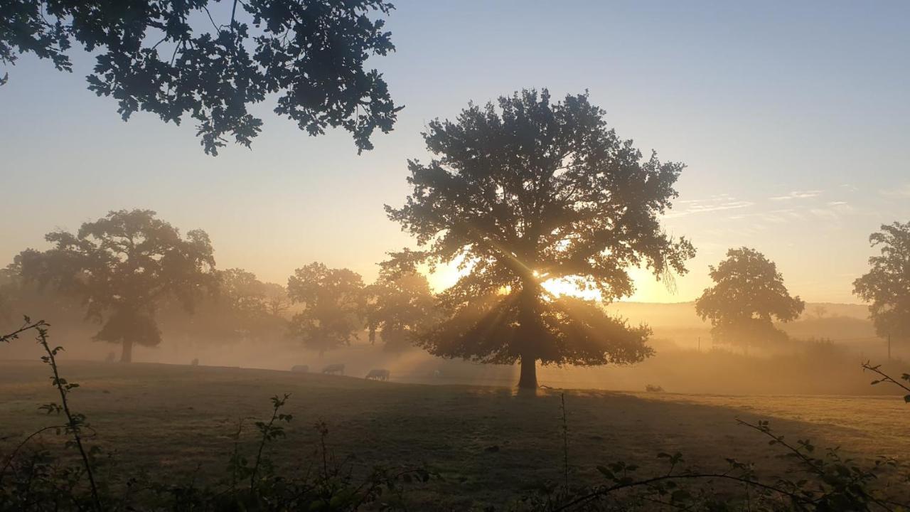 Glamping Les Arbres, Luxe Safaritent met zwembad Cronat Extérieur photo